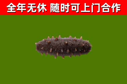 兴文烟酒回收干海参.jpg